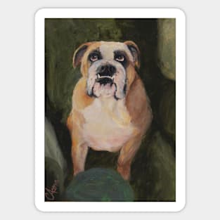 English Bulldog Ruby Rose Sticker